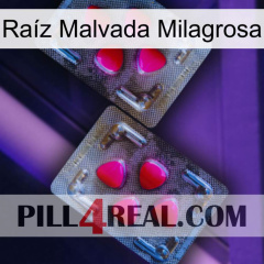 Raíz Malvada Milagrosa 15